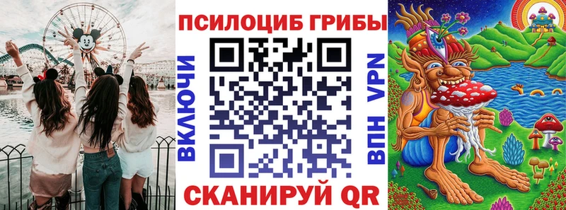 кракен tor  Куртамыш  Псилоцибиновые грибы Magic Shrooms  цена  