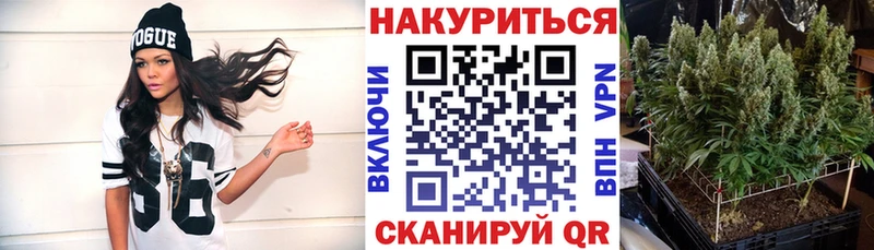 darknet формула  Куртамыш  Бошки марихуана VHQ 